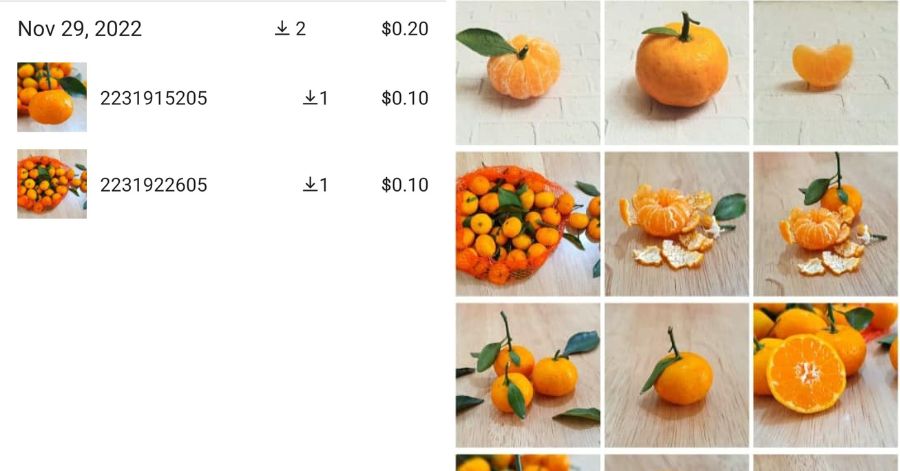 Penghasil Uang Shutterstock